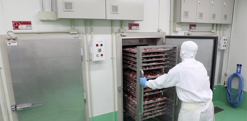 CEJE destaca la innovación de su socio Proton, pionera tecnología japonesa que revoluciona la conservación de alimentos y tratamientos médicos